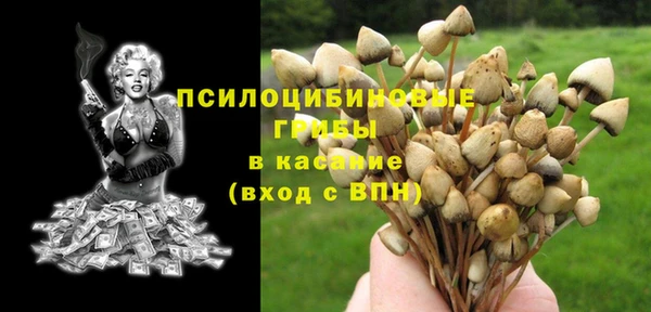 меф Алексин