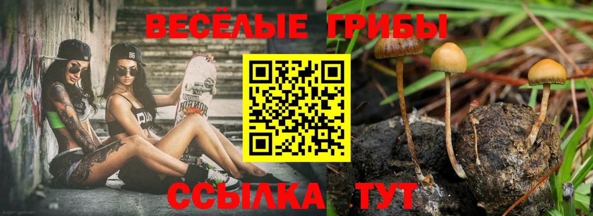Алексин  Галлюциногенные грибы ЛСД  Вход с VPN  Галлюциногенные грибы мухоморы 